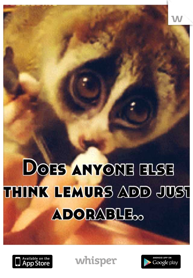Does anyone else think lemurs add just adorable..