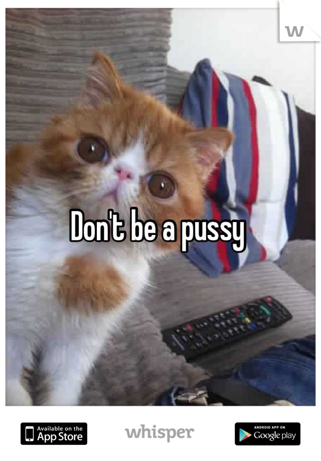 Don't be a pussy 