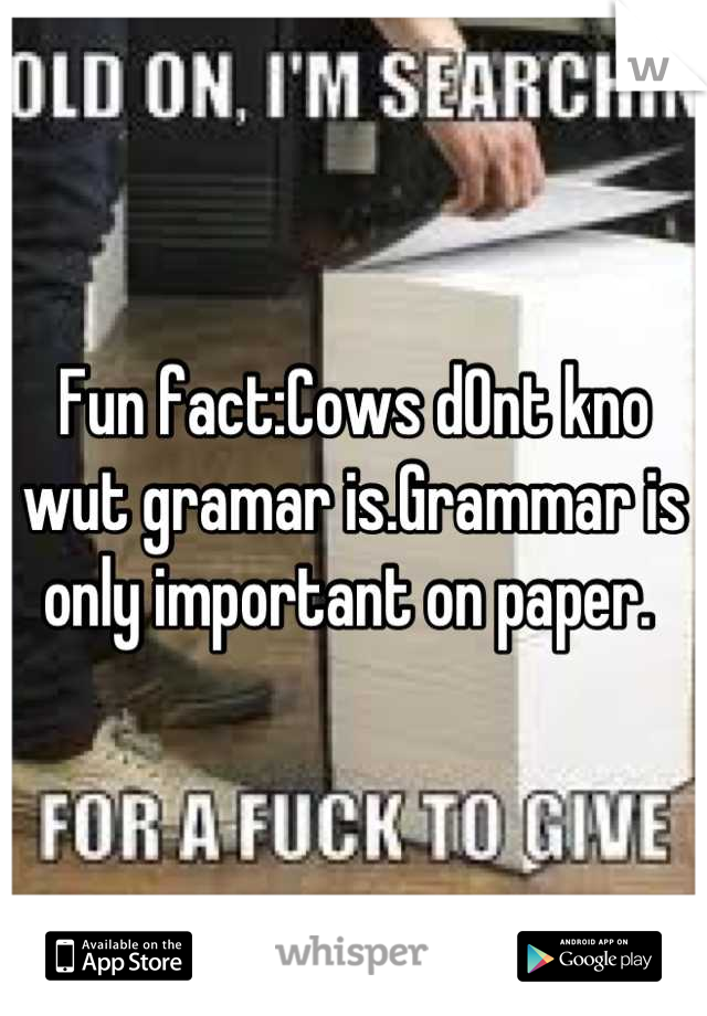 Fun fact:Cows d0nt kno wut gramar is.Grammar is only important on paper. 