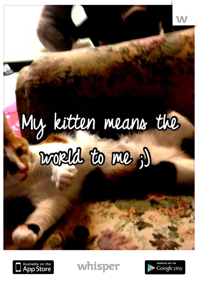 My kitten means the world to me ;) 