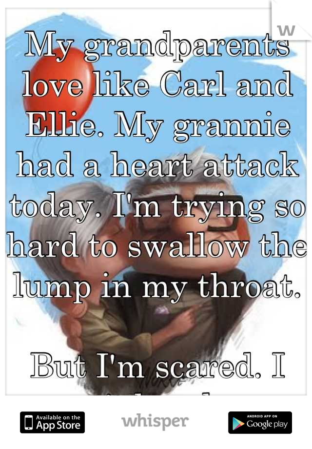 My grandparents love like Carl and Ellie. My grannie had a heart attack today. I'm trying so hard to swallow the lump in my throat. 

But I'm scared. I can't lose her.