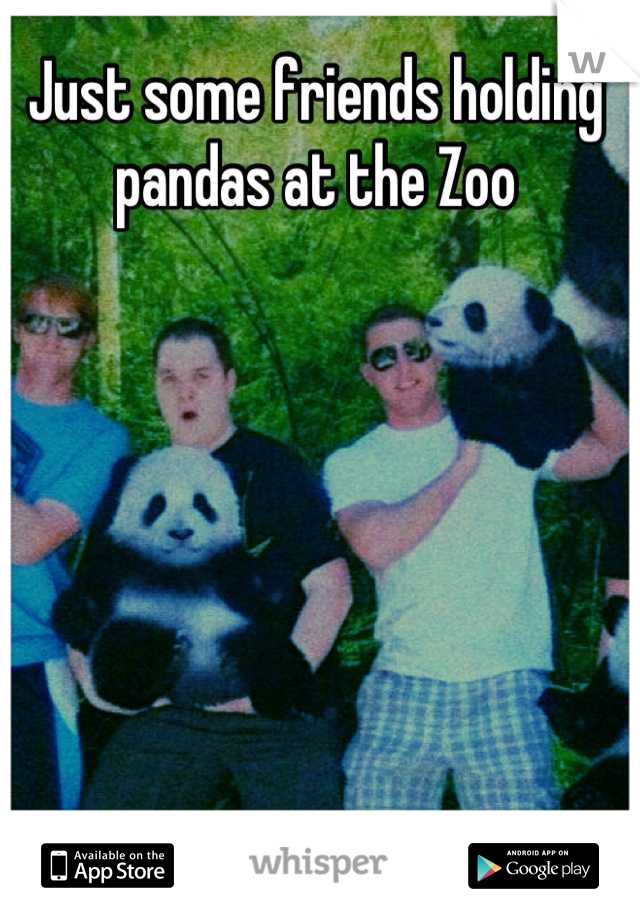 Just some friends holding pandas at the Zoo