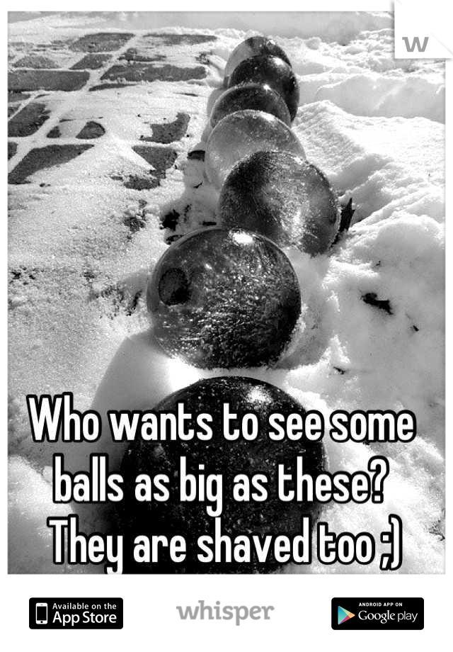 Who wants to see some balls as big as these?
 They are shaved too ;)