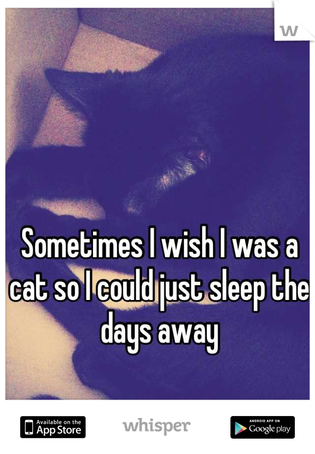 Sometimes I wish I was a cat so I could just sleep the days away
