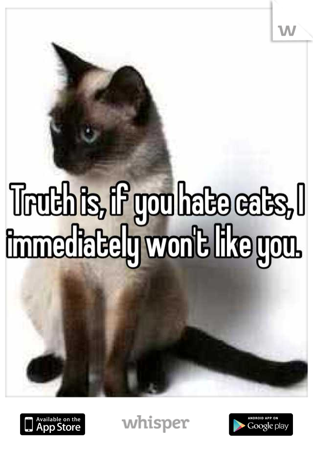 Truth is, if you hate cats, I immediately won't like you. 