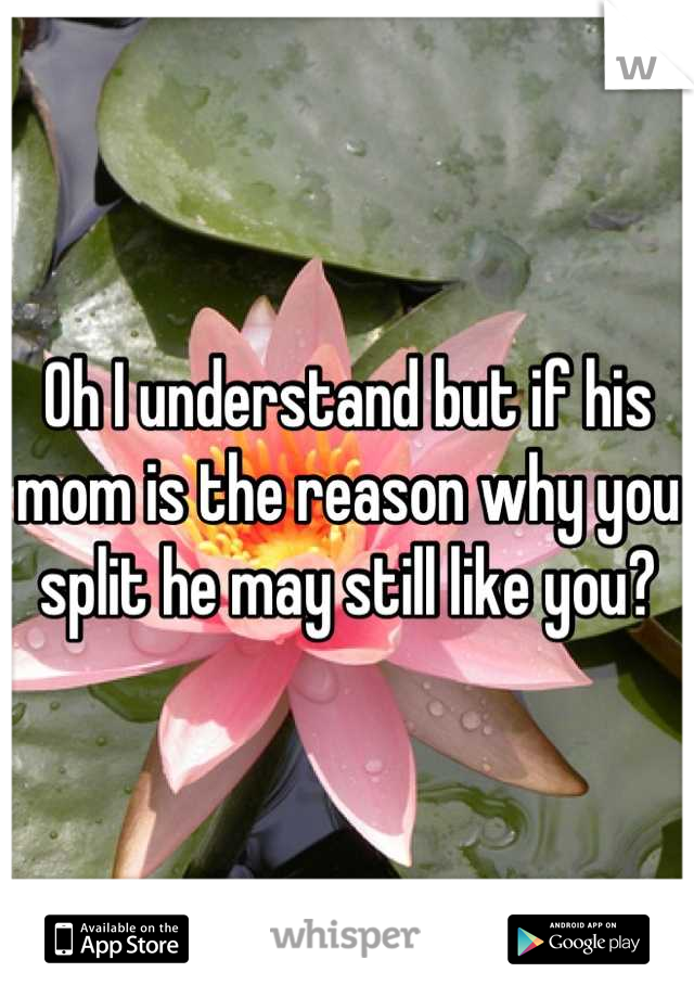 Oh I understand but if his mom is the reason why you split he may still like you?