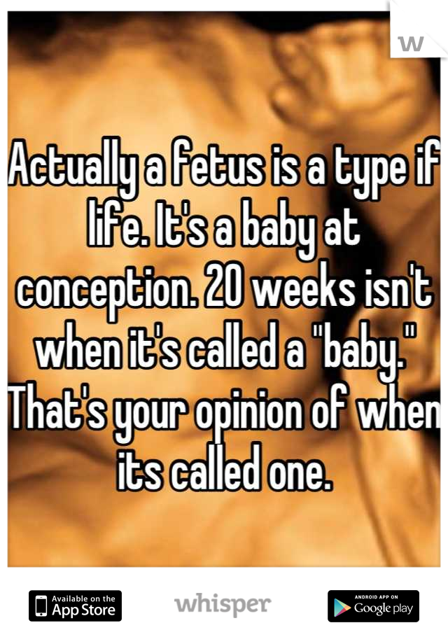 Actually a fetus is a type if life. It's a baby at conception. 20 weeks isn't when it's called a "baby." That's your opinion of when its called one.