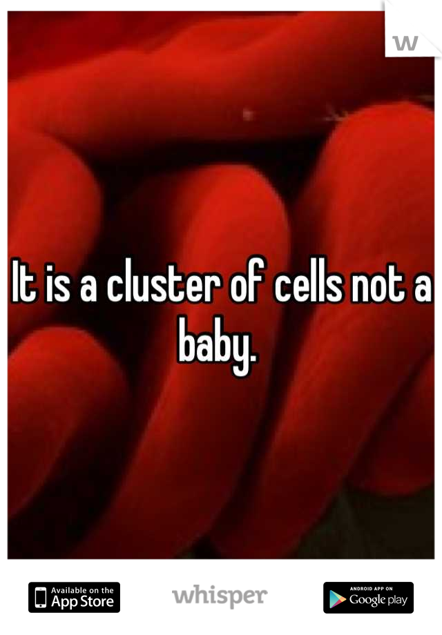 It is a cluster of cells not a baby. 