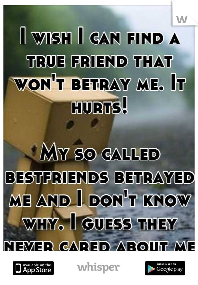 I wish I can find a true friend that won't betray me. It hurts!

My so called bestfriends betrayed me and I don't know why. I guess they never cared about me