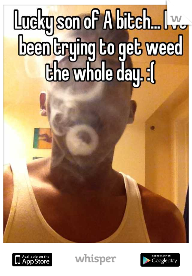 Lucky son of A bitch... I've been trying to get weed the whole day. :(