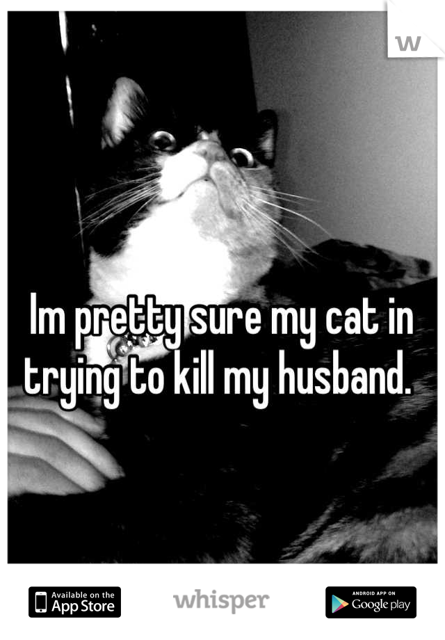Im pretty sure my cat in trying to kill my husband. 