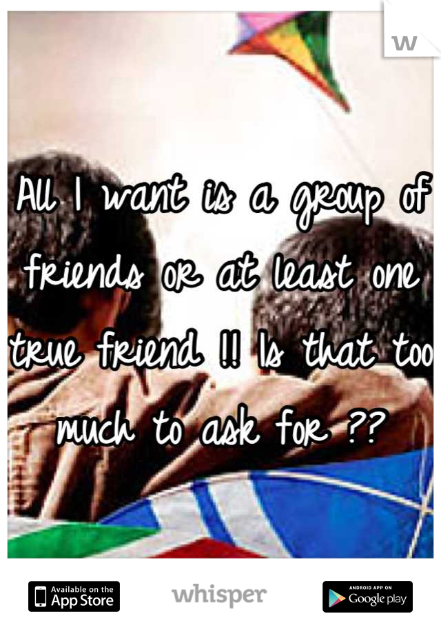All I want is a group of friends or at least one true friend !! Is that too much to ask for ??