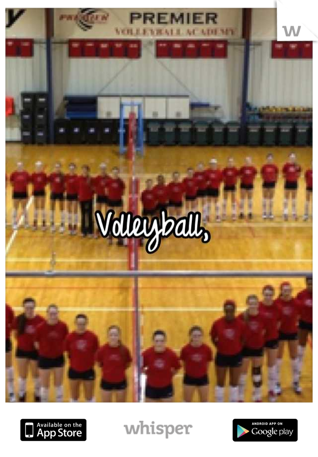 Volleyball, 