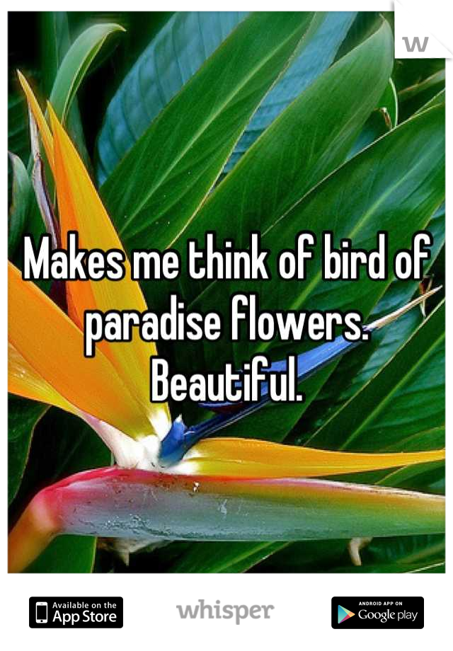 Makes me think of bird of paradise flowers.
Beautiful.