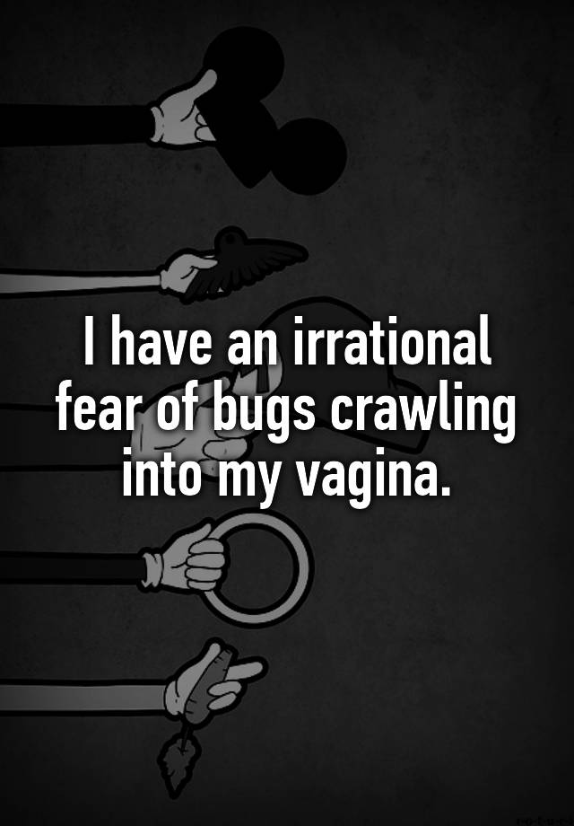 i-have-an-irrational-fear-of-bugs-crawling-into-my-vagina