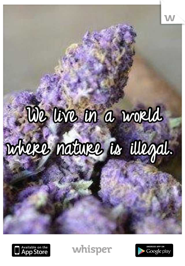 We live in a world where nature is illegal. 