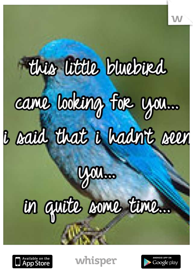 this little bluebird
came looking for you...
i said that i hadn't seen you...
in quite some time...