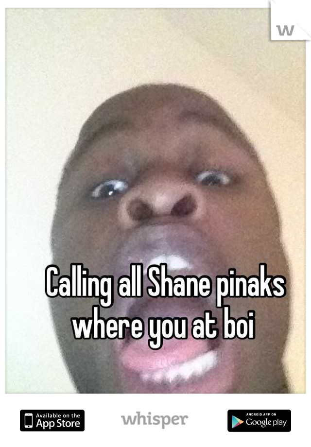 Calling all Shane pinaks where you at boi 