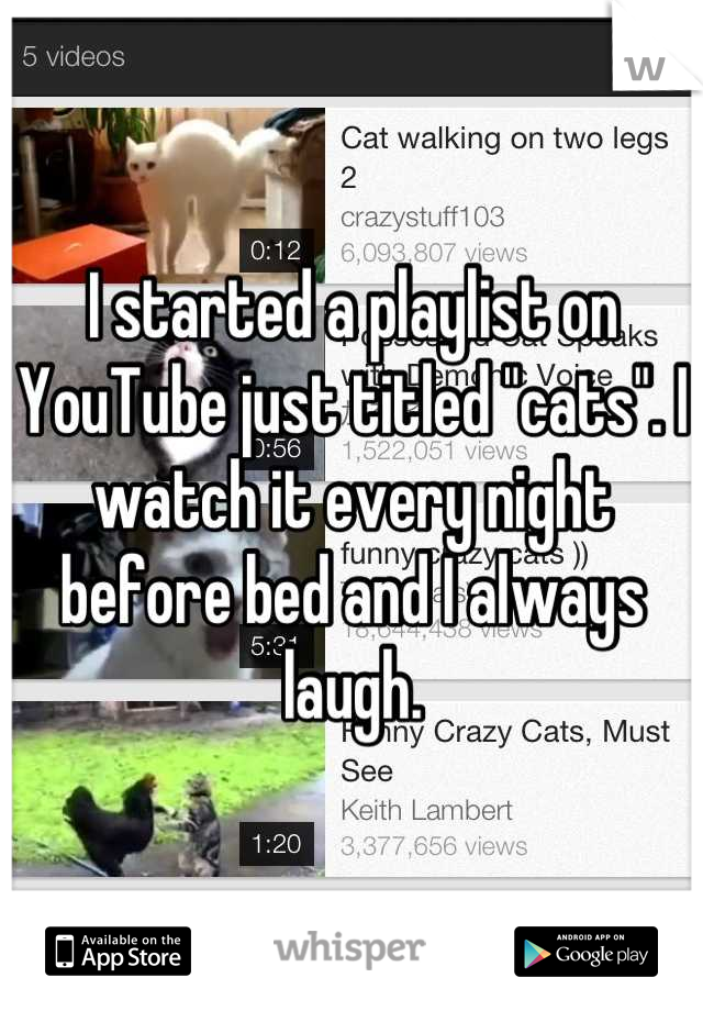I started a playlist on YouTube just titled "cats". I watch it every night before bed and I always laugh.