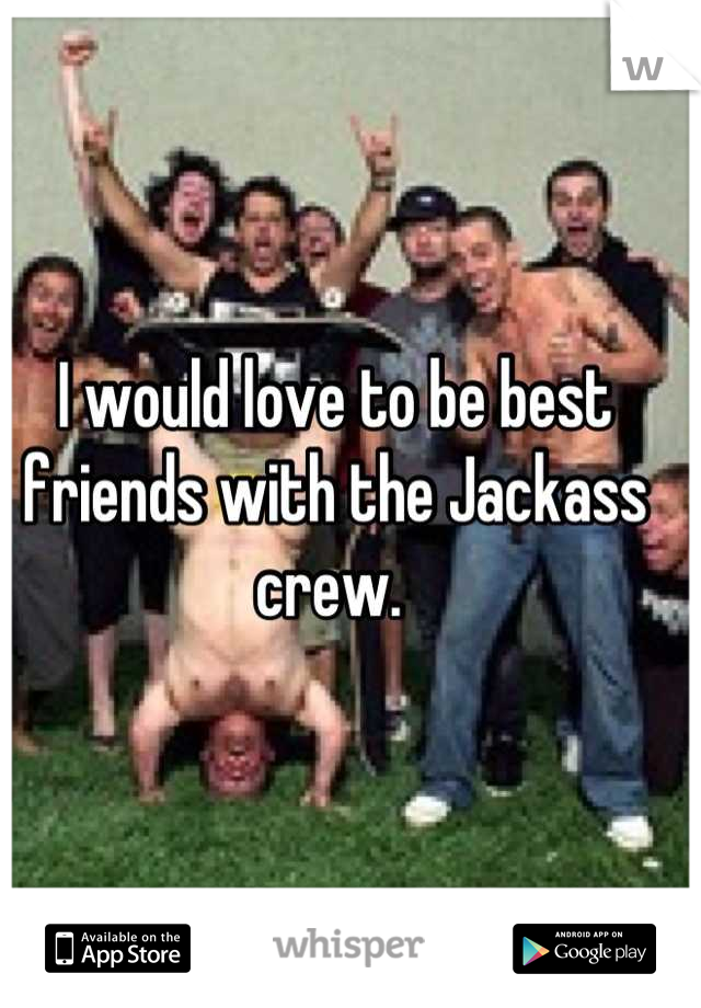 I would love to be best friends with the Jackass crew. 