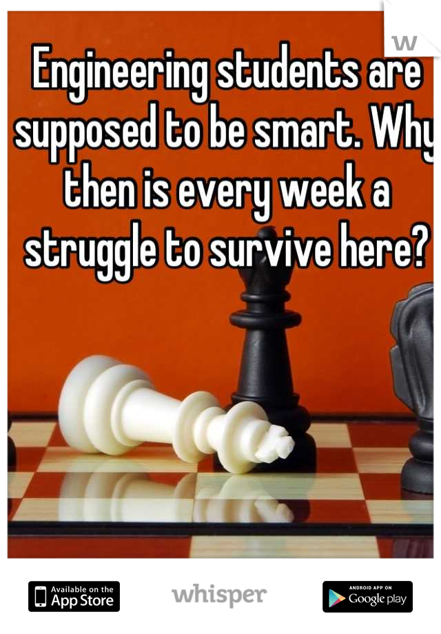 Engineering students are supposed to be smart. Why then is every week a struggle to survive here?