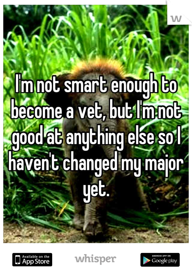 I'm not smart enough to become a vet, but I'm not good at anything else so I haven't changed my major yet.