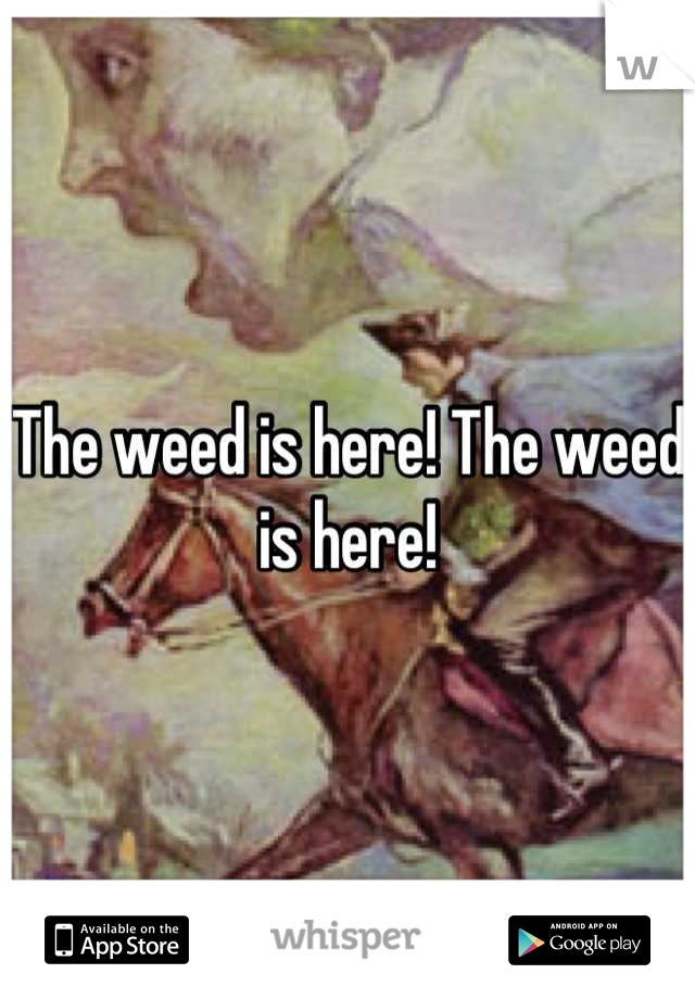 The weed is here! The weed is here!