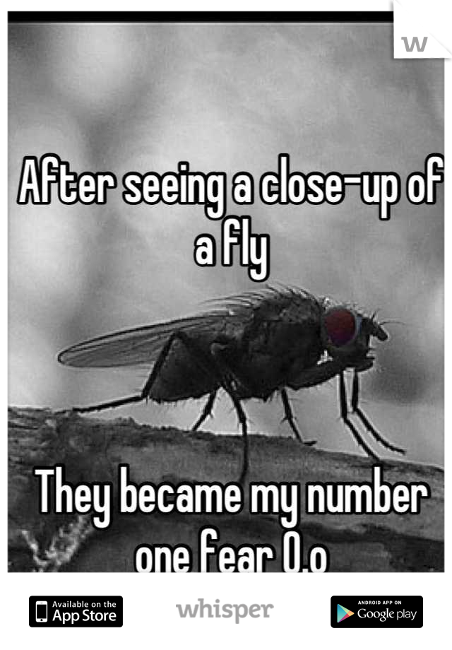 After seeing a close-up of a fly 



They became my number one fear O.o