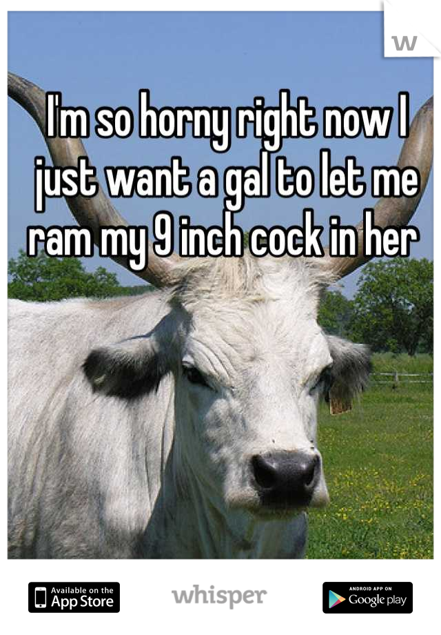 I'm so horny right now I just want a gal to let me ram my 9 inch cock in her 