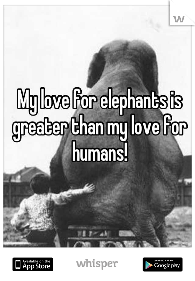 My love for elephants is greater than my love for humans!