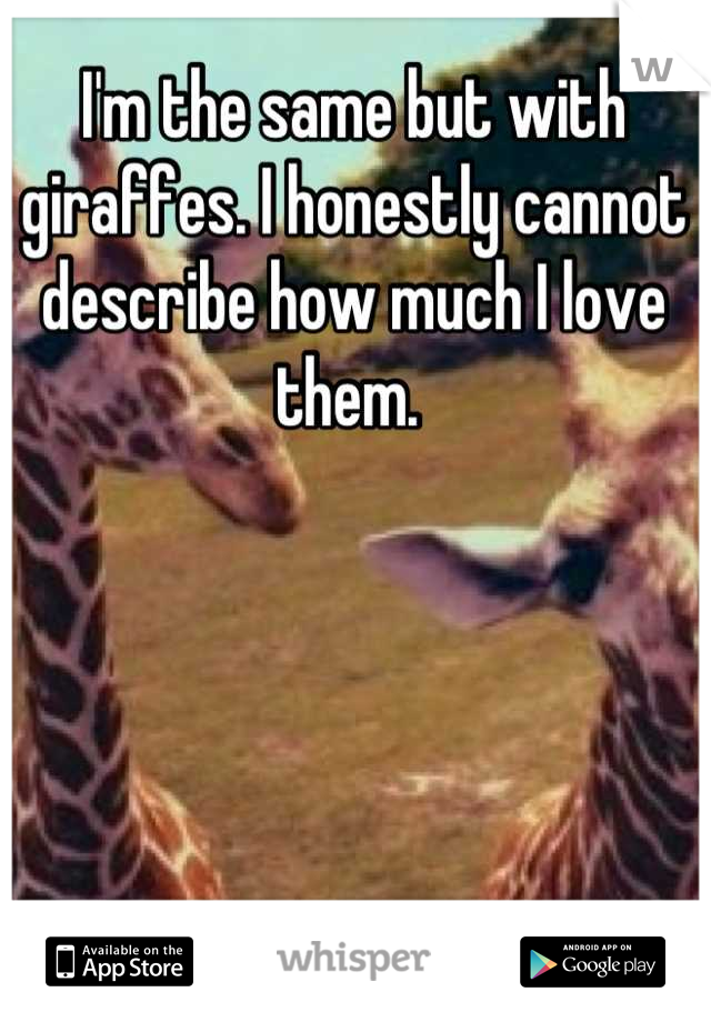 I'm the same but with giraffes. I honestly cannot describe how much I love them. 