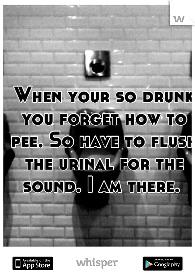 When your so drunk you forget how to pee. So have to flush the urinal for the sound. I am there. 