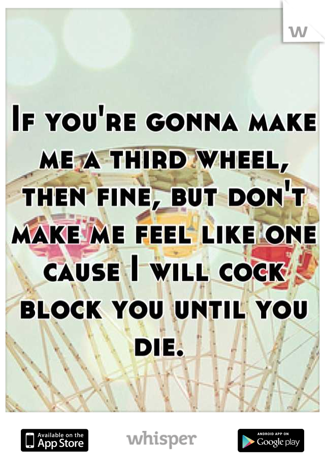 If you're gonna make me a third wheel, then fine, but don't make me feel like one cause I will cock block you until you die. 