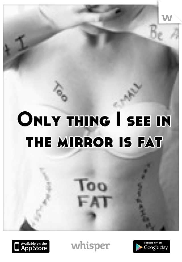 Only thing I see in the mirror is fat