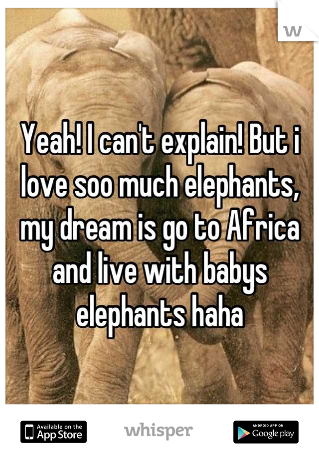 Yeah! I can't explain! But i love soo much elephants, my dream is go to Africa and live with babys elephants haha