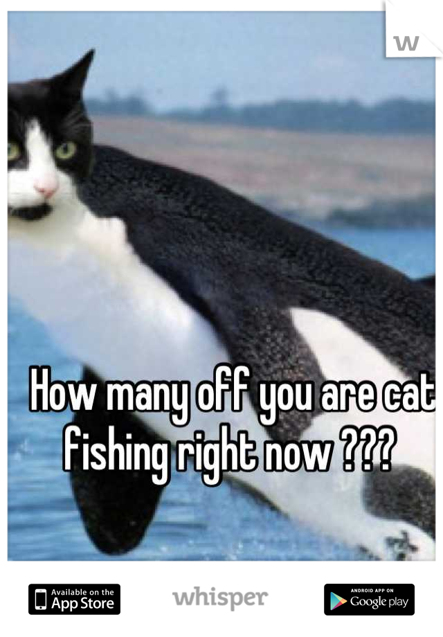 How many off you are cat fishing right now ??? 