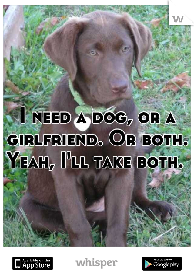 I need a dog, or a girlfriend. Or both. Yeah, I'll take both. 
