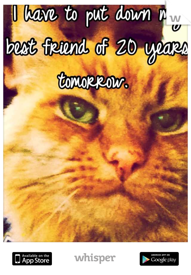 I have to put down my best friend of 20 years tomorrow. 