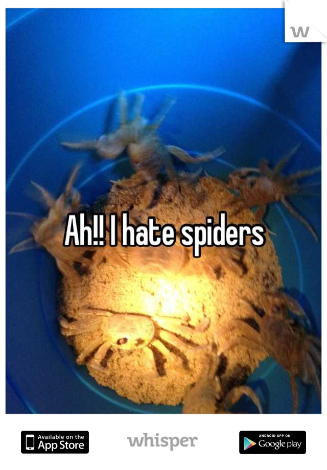 Ah!! I hate spiders