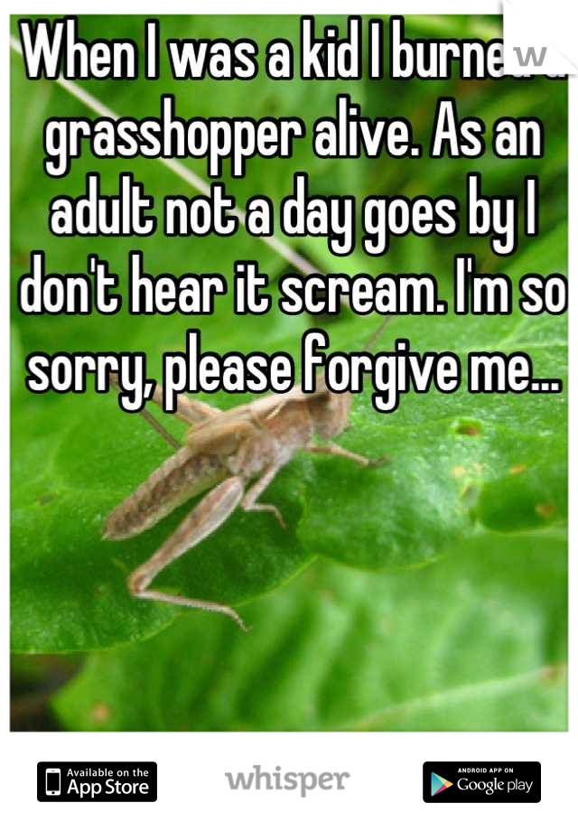 When I was a kid I burned a grasshopper alive. As an adult not a day goes by I don't hear it scream. I'm so sorry, please forgive me...