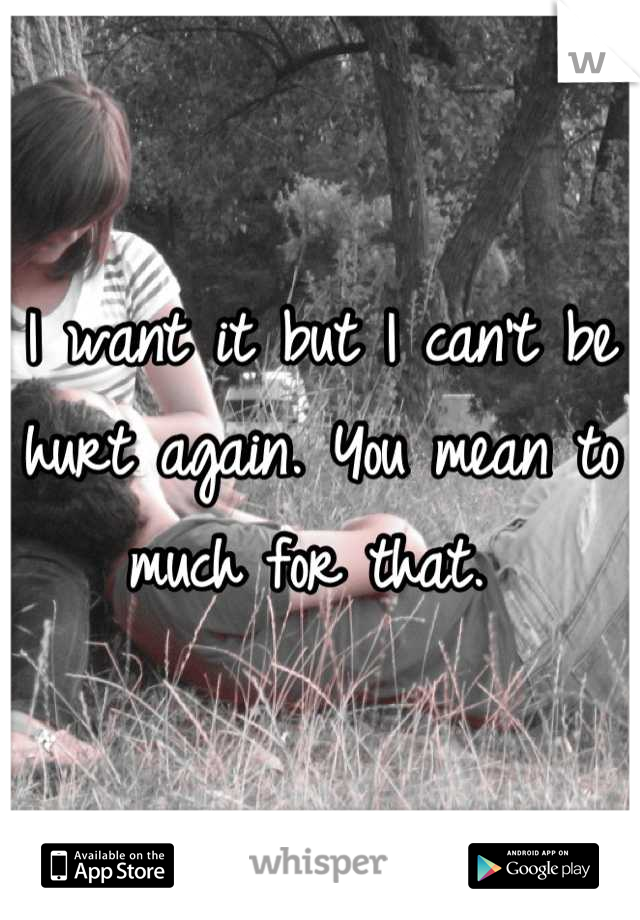 I want it but I can't be hurt again. You mean to much for that. 