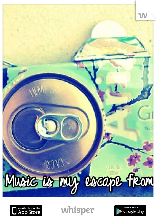 Music is my escape from all the bullshit in life .