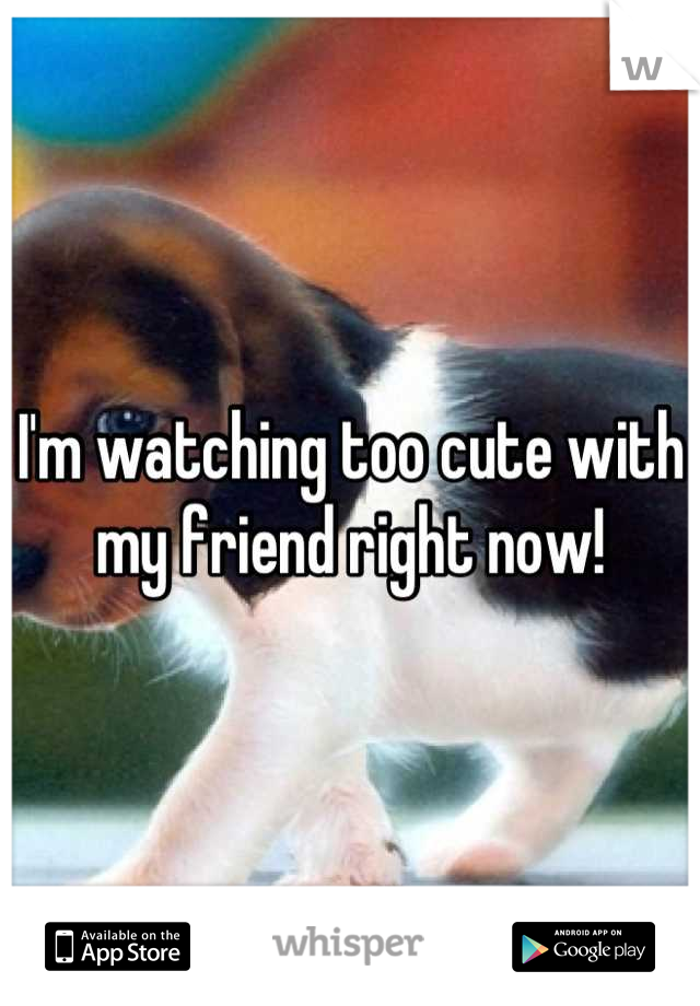 I'm watching too cute with my friend right now!