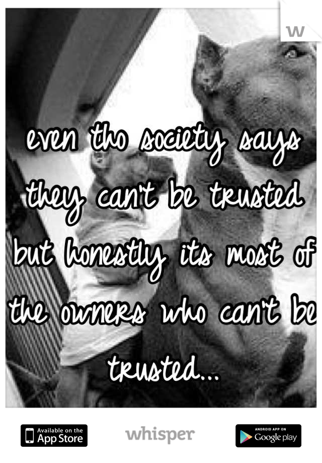 even tho society says they can't be trusted but honestly its most of the owners who can't be trusted...
Love the pit breed.