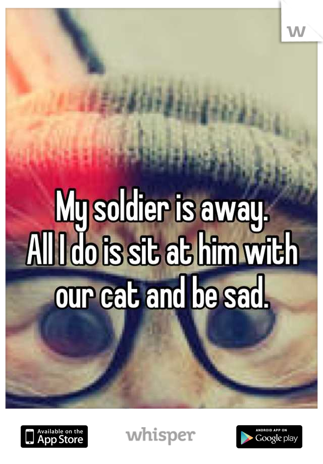 
My soldier is away. 
All I do is sit at him with 
our cat and be sad.