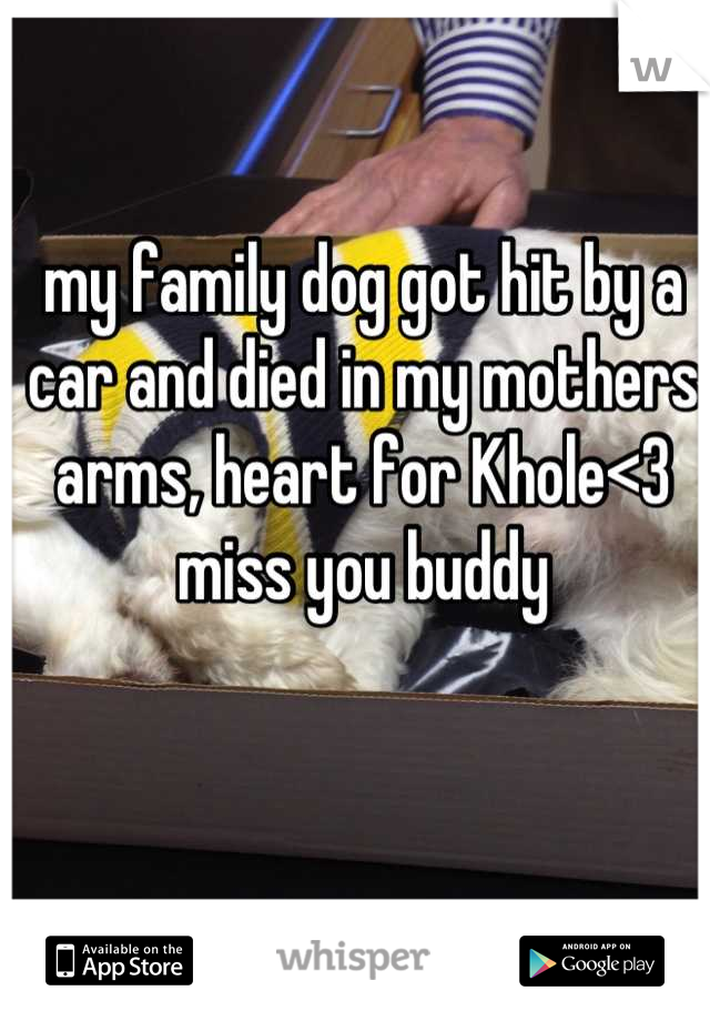 my family dog got hit by a car and died in my mothers arms, heart for Khole<3 miss you buddy