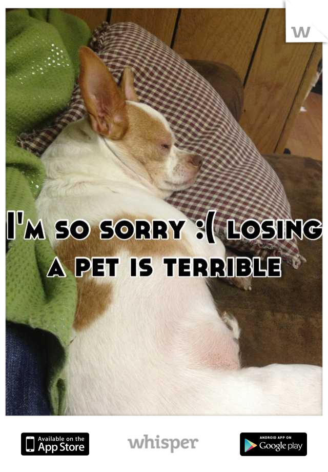 I'm so sorry :( losing a pet is terrible