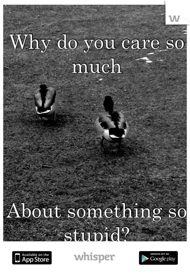 Why do you care so much





About something so stupid?