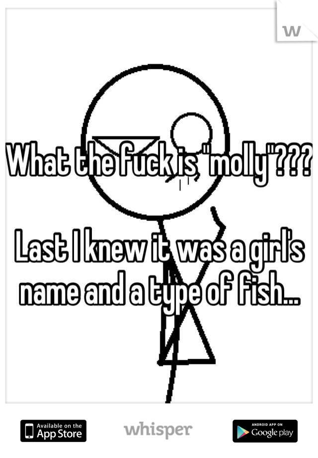 What the fuck is "molly"???

Last I knew it was a girl's name and a type of fish...