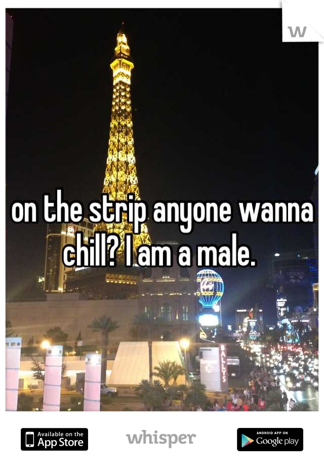 on the strip anyone wanna chill? I am a male. 